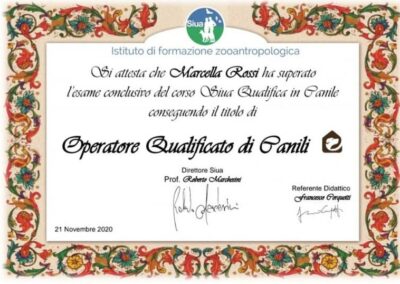 132043464 3620087381413423 6735796037104628597 n