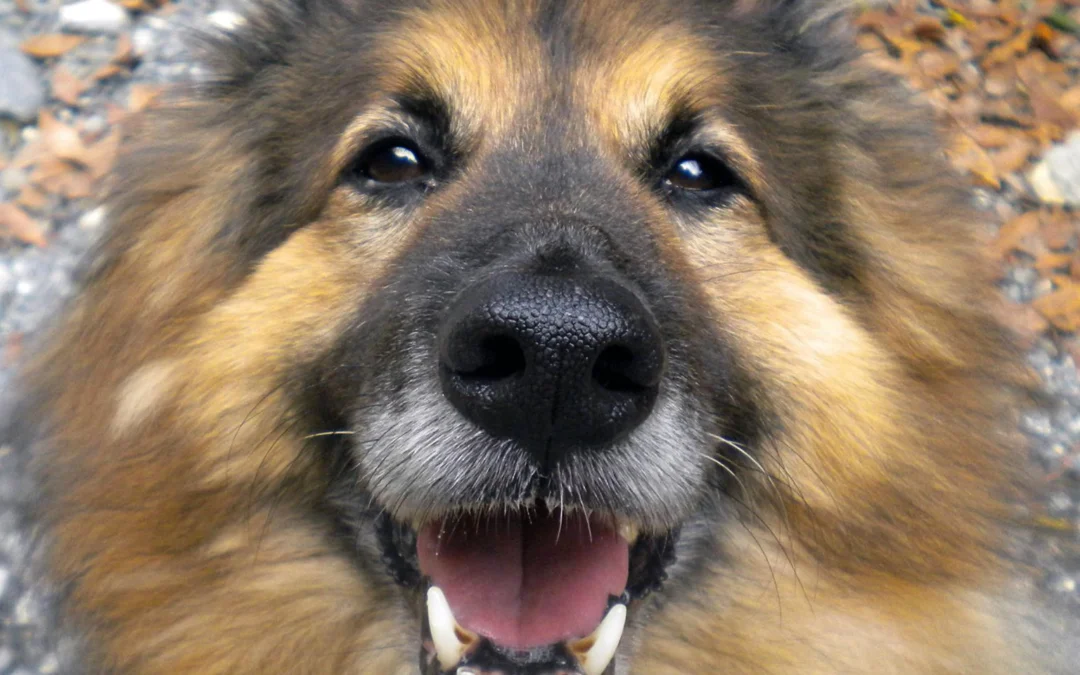 1237306 10202147782920734 447342672 o