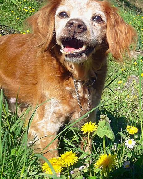 17554466 1309817395773778 1981811993260526637 n