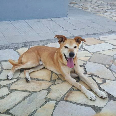 27545542 1632038903551624 9171115759488953027 n