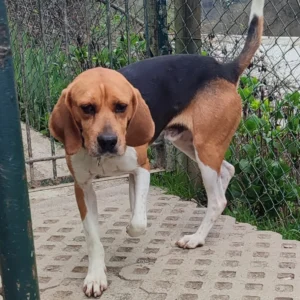 337276121 609447130681062 5871409841339352058 n copy