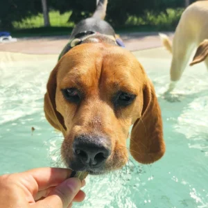 376475657 705244358313831 7804629026100186369 n copy