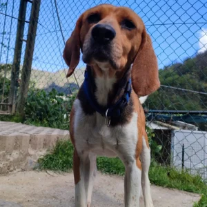 430751963 808618551309744 1244909738675042797