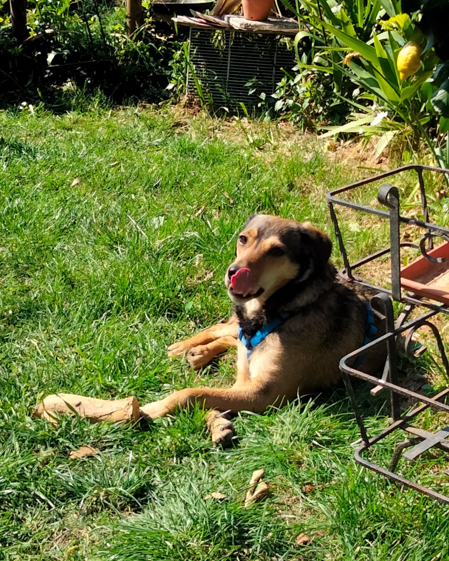 21922 50098376105048 1747432171668938051 n