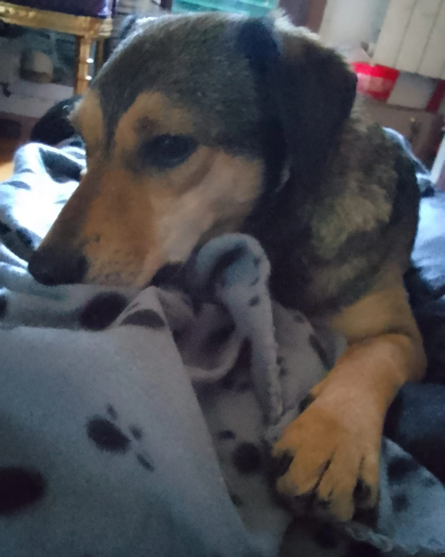 277172497 5009837885771692 7043817542951668502 n