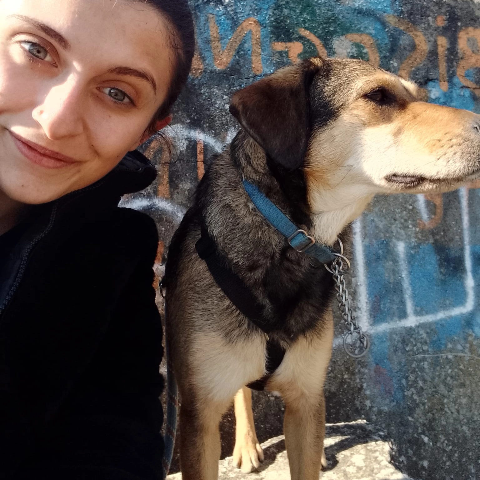 277172497 5009837885771692 70438175429668502 n