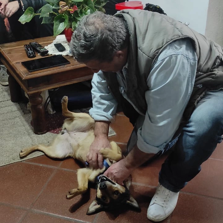 277178287 5009840062438141 1621390081905503 n