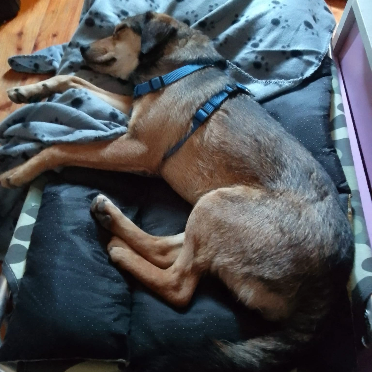 277223570 500983539104960 1332290381694459666 n