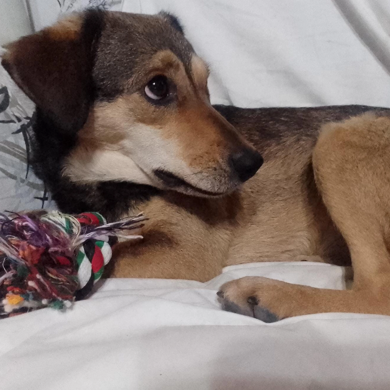 277309063438473 3745934803050486332 n