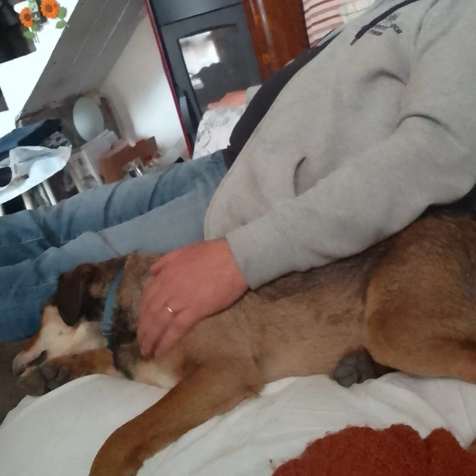 277348564 50039265771554 4575949778345854992 n