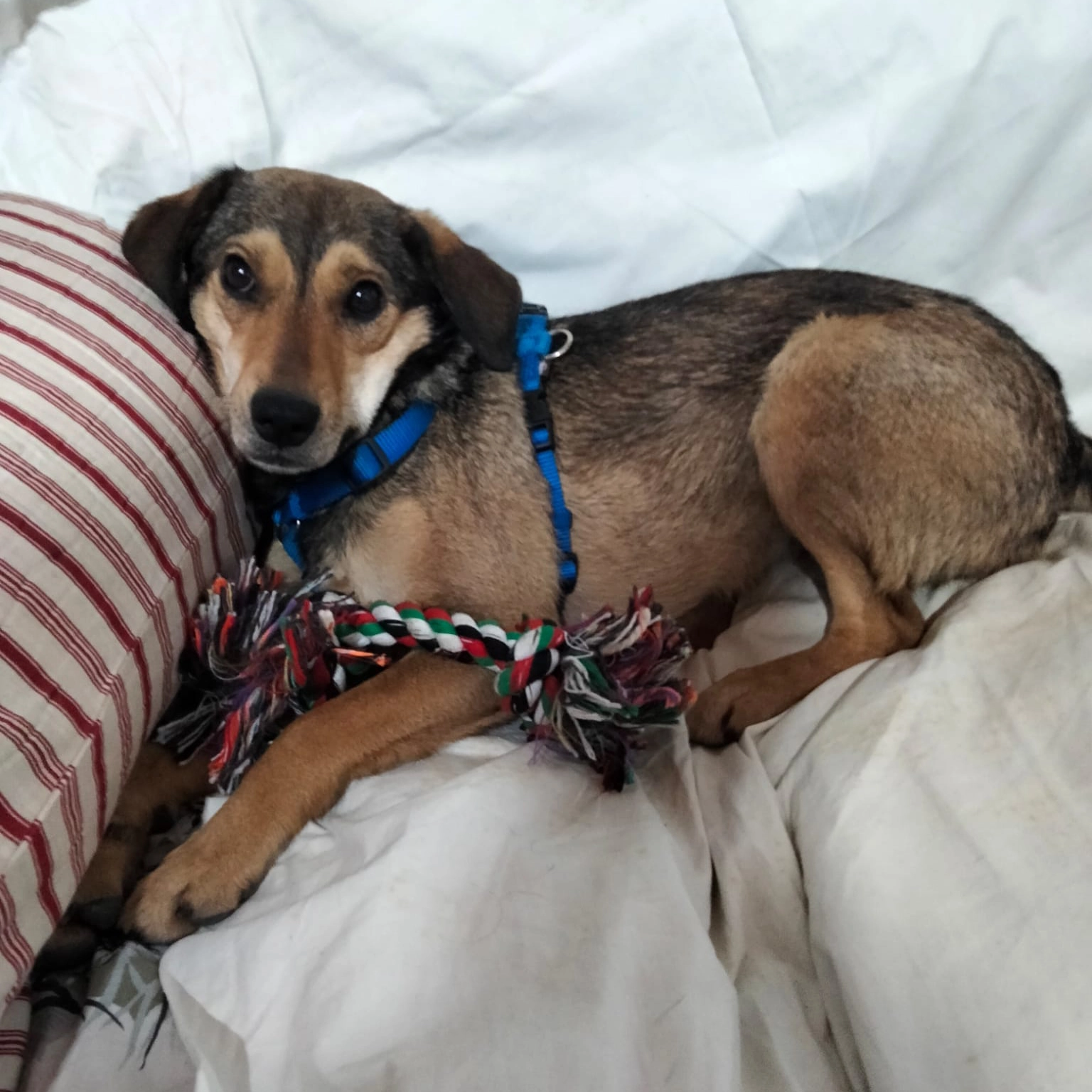 27735463 5009838709104943 4688544179471517747 n