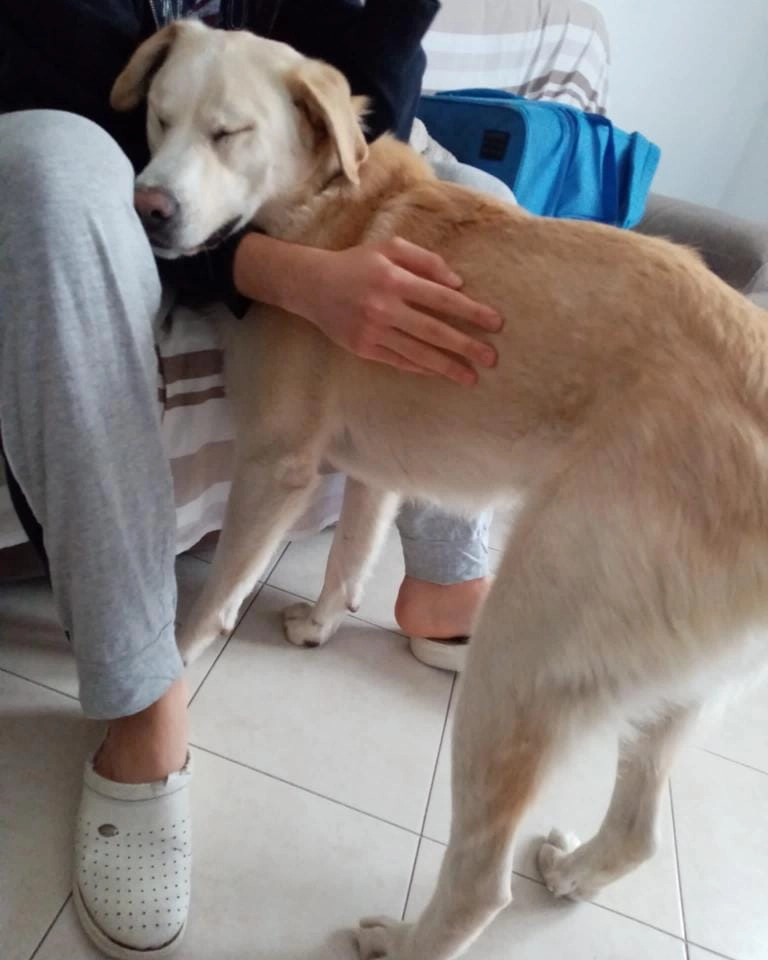 279271270 5098172373604909 9152651622362521738 n