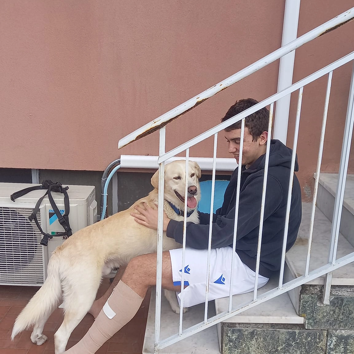 279373060 5098173620271451 24161444652337992 n