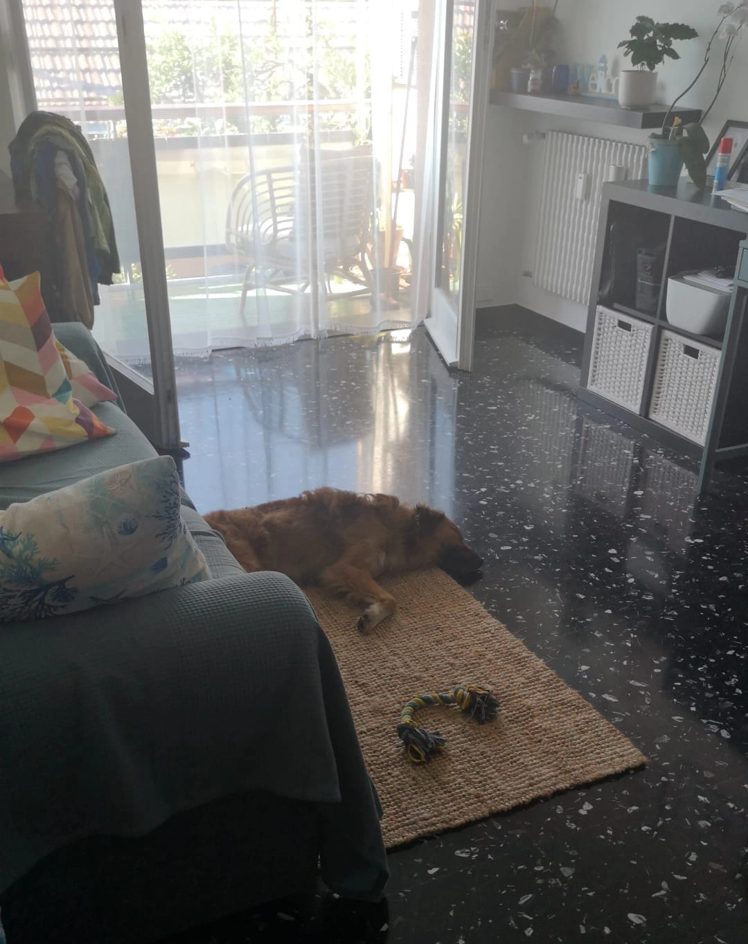 300906784 5432708240151319 4813649331506116472 n