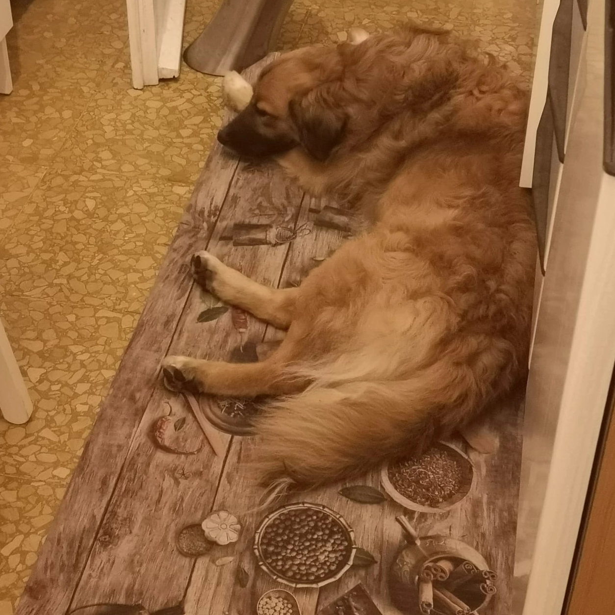 301216990 5432708433484633 5145249774896673427 n