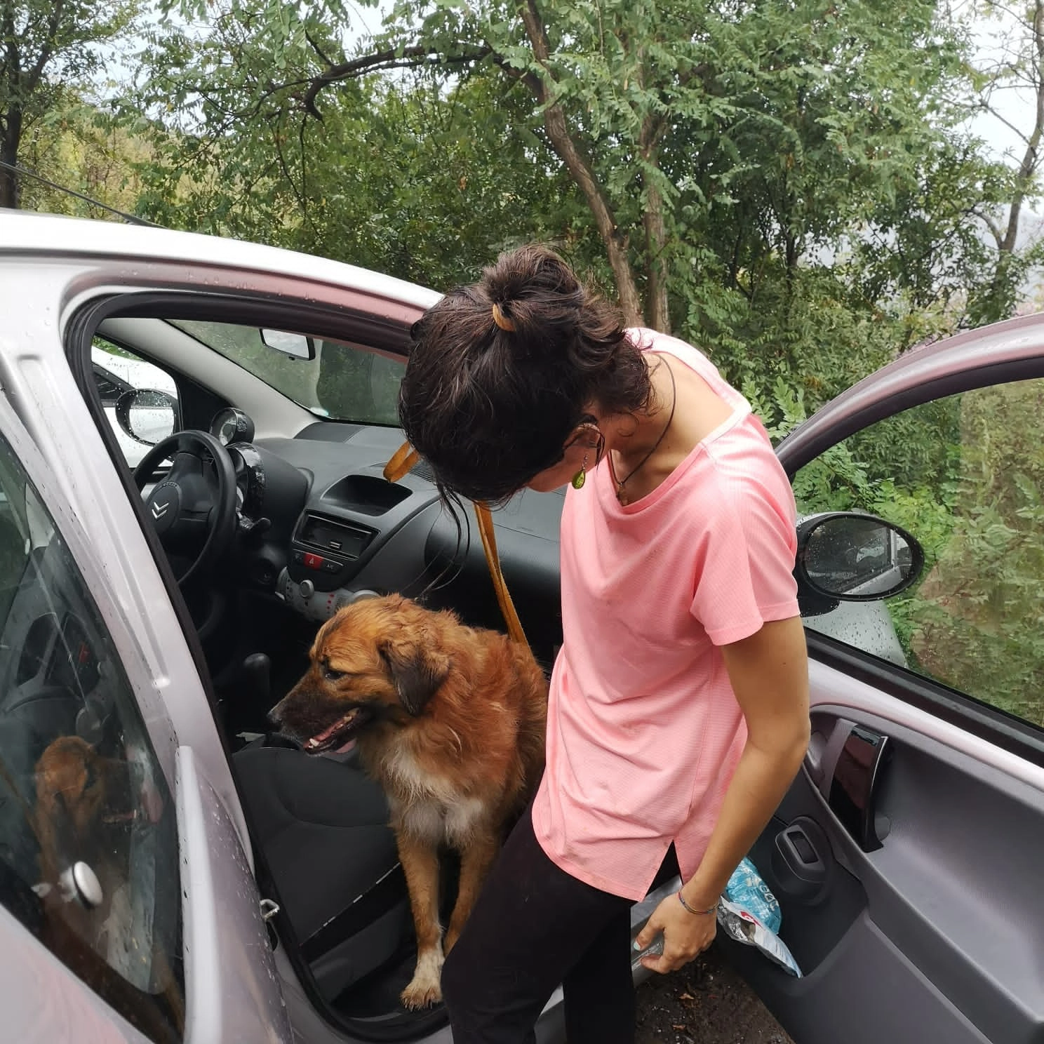 301261156 5432708690151274 1855689142617735763 n