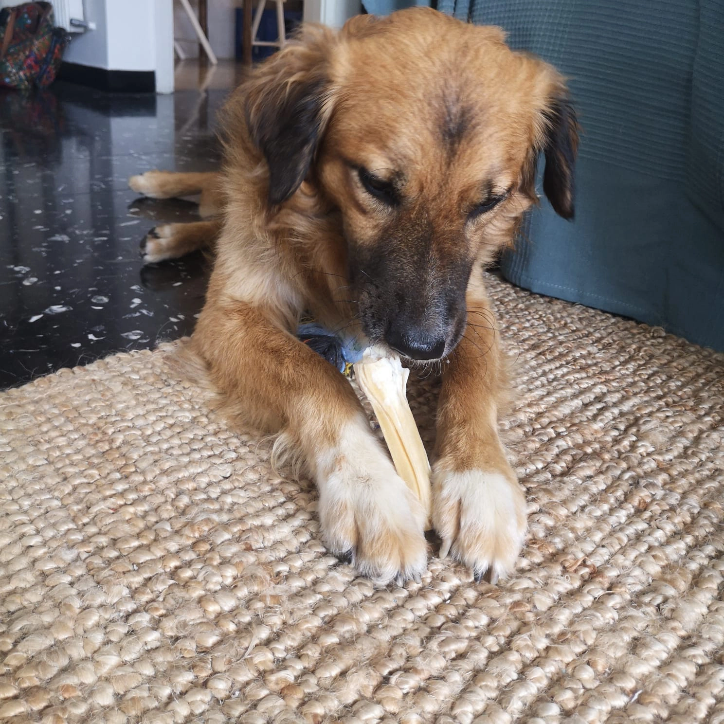 301267631 5432709193484557 86428895977207267 n