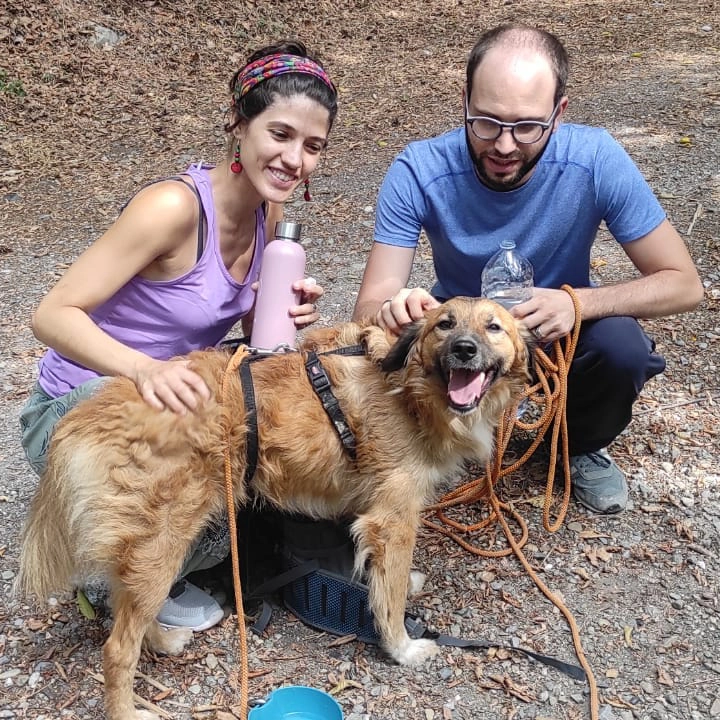 301374607 5432709470151196 9169698352738538305 n