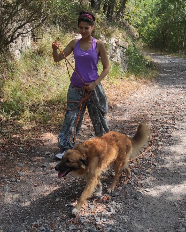 301557537 5432709823484494 3480684331559104044 n