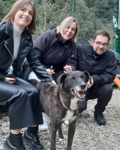 311601347 5604917969597011 1582325940586204387 n