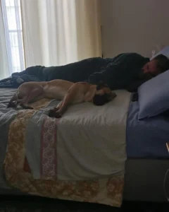 319339820 1568740356898167 6241045905228676723 n