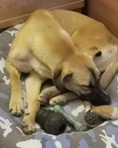 319538076 858283535485570 3464095875146707890 n