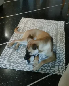 319641172 1113482619369016 5759426559663679965 n