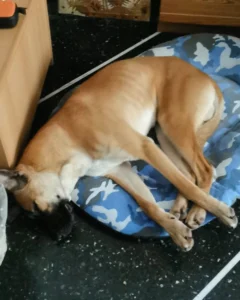 319680643 1826800897682875 3029573928911903342 n