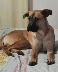 319729588 537072078436332 1803213385938070539 n