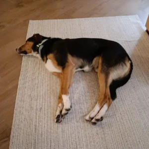 329149340 751208560007689 514509828456403 n