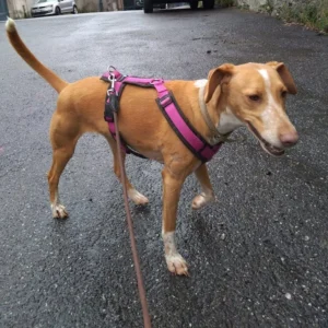 331269332 1005354393760732 927212377863417618 n