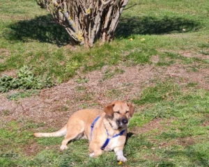 331276820 1908747419489317 7515366922508670157 n