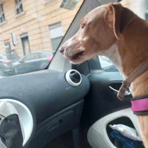 331277809 744834037162452 1779896714673424369 n