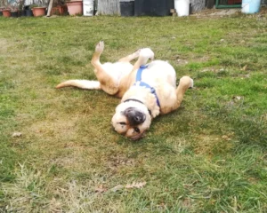 331294456 565609112202248 6792872535555168605 n