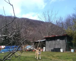 331302050 1388002615287218 5650211670790639729 n