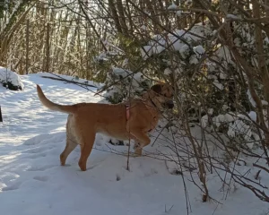 331377072 420993856900213 9182825206116084849 n