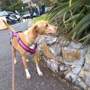 331396481 540478784851070 2883449140308359875 n