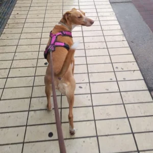 331396597 1343726959816652 1971643448383546760 n