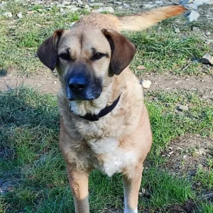 331401506 232397445801197 7917126881129440213 n