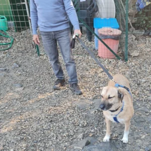 331447970 749677646470779 7590254985178807805 n