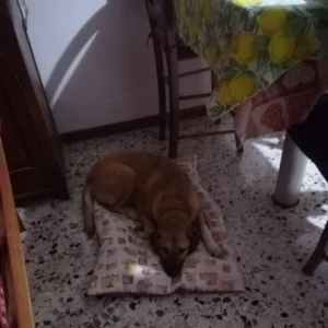 331468426 181380847943280 1953035836945136684 n