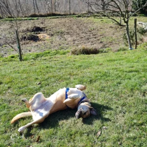 331479926 519426266970885 7366728364416630665 n