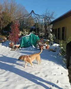 331520931 736935791172772 5676005690820549502 n