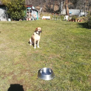 331646116 1327347001162184 5112033570411224185 n