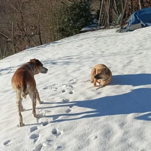 331684953 697294292176640 4722939978782624659 n