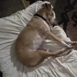 331711454 550453387181674 4522149383276046202 n