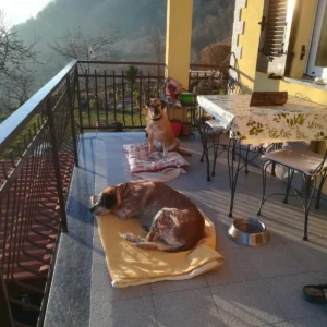 331719711 776978473851427 1619372142411071404 n