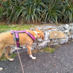 331739838 995113298134670 2159896366004521571 n