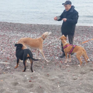 331742713 2239640876215476 6387568995136584725 n