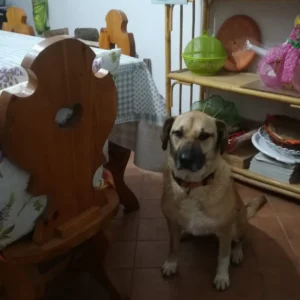 331774191 567626875395282 1136059250994997882 n